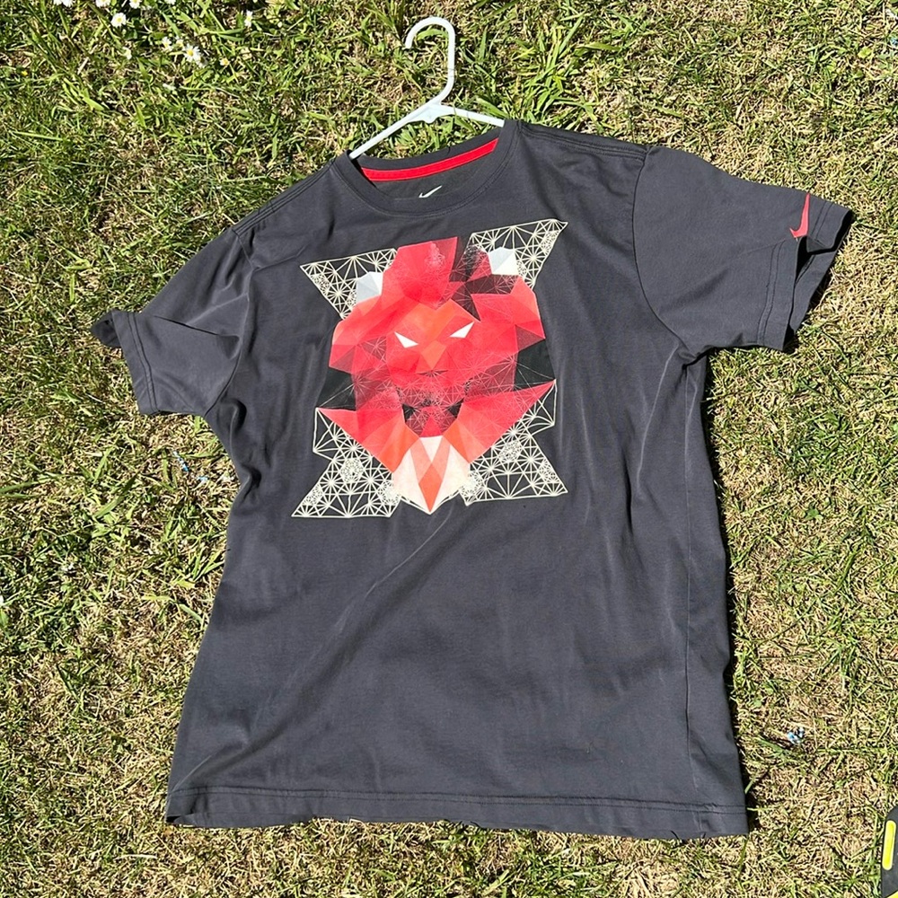 Nike Dri-Fit Lebron James Lion Graphic Men's T-Shirt early 2010s